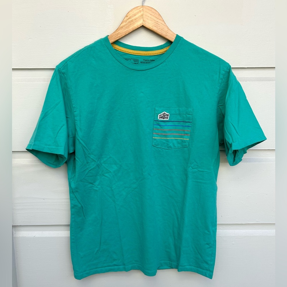 Patagonia Mens Line Logo Ridge Stripe Organic Pocket Tshirt